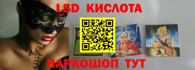 spice Новодвинск