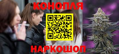 spice Новодвинск
