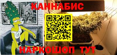 spice Новодвинск