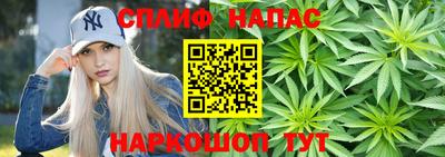spice Новодвинск