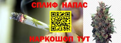 молекула духа Новозыбков