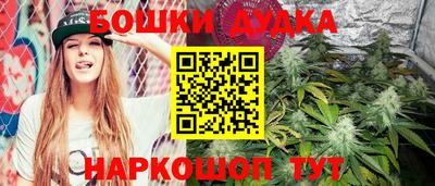 молекула духа Новозыбков