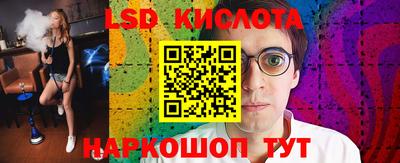 spice Новодвинск